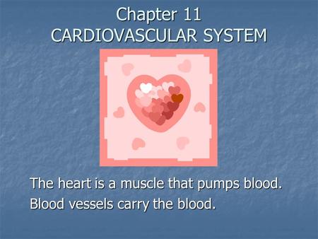 Chapter 11 CARDIOVASCULAR SYSTEM The heart is a muscle that pumps blood. Blood vessels carry the blood.