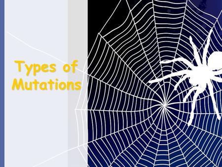 Types of Mutations.