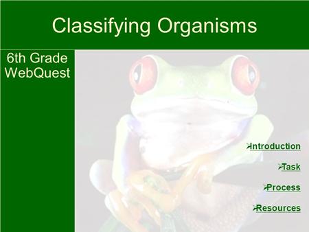 Classifying Organisms