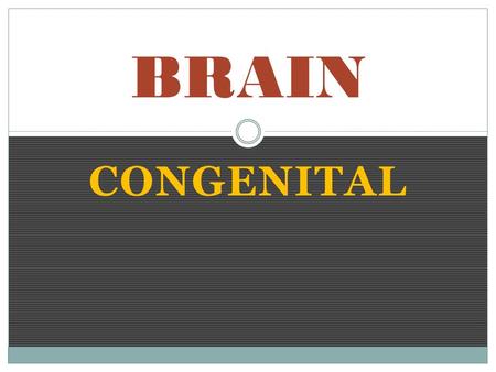 BRAIN CONGENITAL.