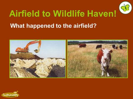 Airfield to Wildlife Haven! What happened to the airfield?