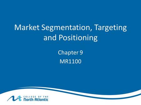 Market Segmentation, Targeting and Positioning Chapter 9 MR1100.