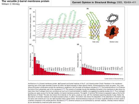 Nutrient Transport in E. coli Passive transporters : Most nutrients < 600 Da - Porins Ligand Gated Porins - sugars Active transporters : Larger nutrients.