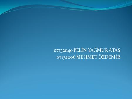 07132040 PELİN YAĞMUR ATAŞ 07132006 MEHMET ÖZDEMİR.