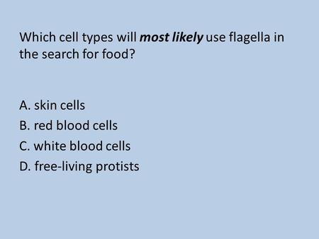 Which cell types will most likely use flagella in the search for food? A. skin cells B. red blood cells C. white blood cells D. free-living protists.