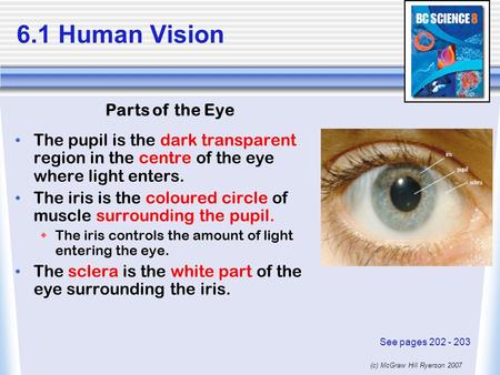 (c) McGraw Hill Ryerson 2007 6.1 Human Vision The pupil is the dark transparent region in the centre of the eye where light enters. The iris is the coloured.