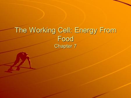 The Working Cell: Energy From Food Chapter 7