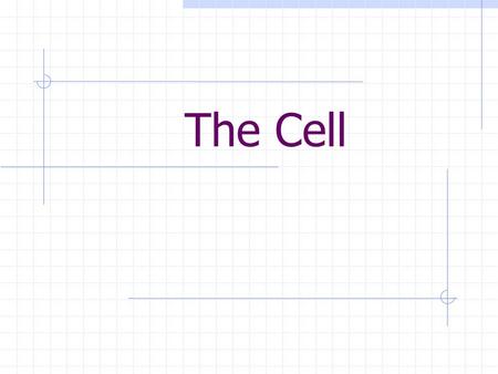 The Cell. Background Think of cells as colorful little building blocks. Cells come together to construct living things.