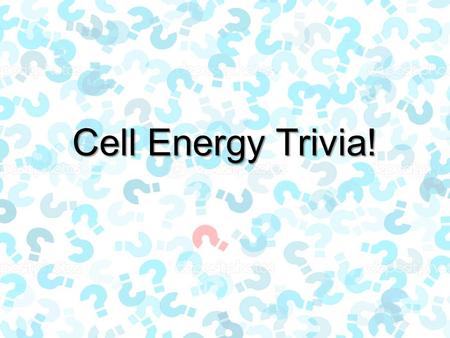 Cell Energy Trivia!. Trivia Rules You must be in pairs (ONLY 2 people per group… so don’t ask for a trio) You must be in pairs (ONLY 2 people per group…