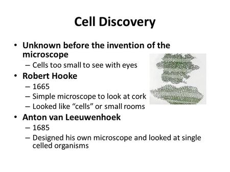 Cell Discovery Unknown before the invention of the microscope