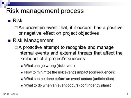 Risk management process