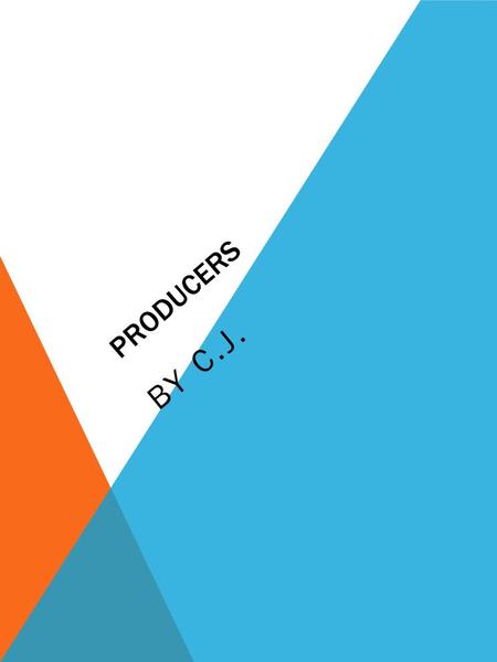 PRODUCERS BY C.J.. DESCRIPTION OF THE OCCUPATION INCLUDING MAIN DUTIES AND RESPONSIBILITIES. Producers are entrepreneurs who make the business and financial.