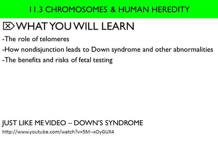 11.3 CHROMOSOMES & HUMAN HEREDITY