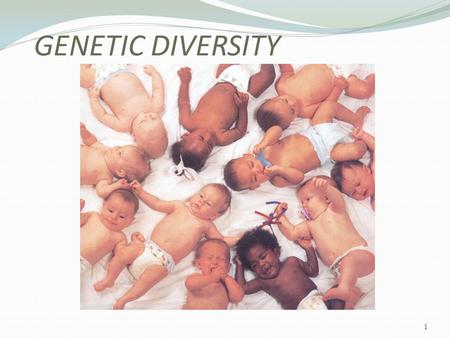 GENETIC DIVERSITY 1. UNITS OF HEREDITY CHROMOSOMES - threadlike structures in nucleus of all body cells - body cells have 46 (23 pairs) - are blueprints.