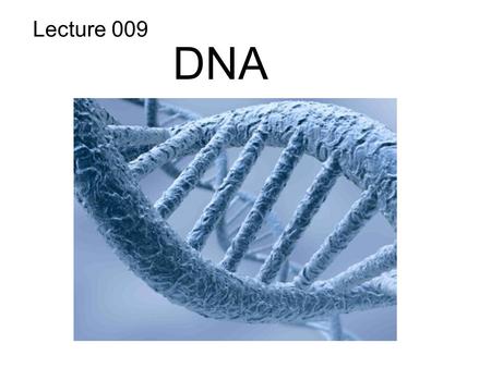 DNA Lecture 009. Gregor Mendel Rosalind FranklinFrances Crick & James Watson X-ray diffraction photograph of DNA, 1953 Proposed double helix model 1953.