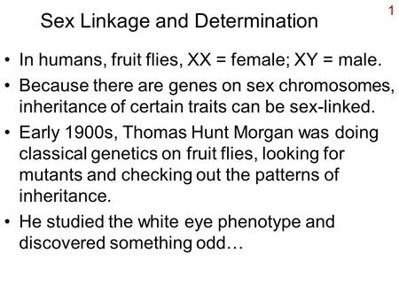 Sex Linkage and Determination