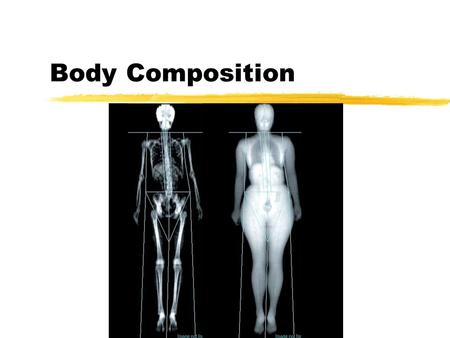 Body Composition. zBody composition involves all components of the body including: yFat mass yMuscle mass yBone mass yWater volume.