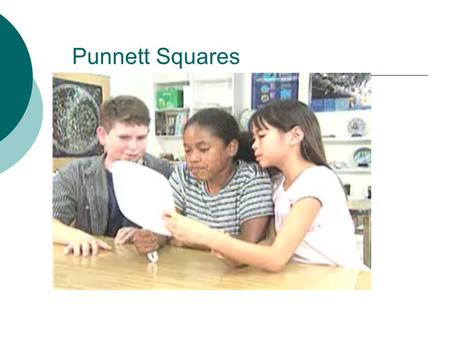 Punnett Squares.  The work of Reginald C. Punnett, English mathematician  Predict possible offspring and their ratios from any given cross  Greater.