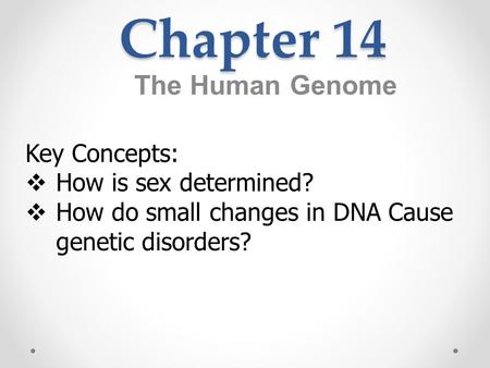 Chapter 14 The Human Genome Key Concepts: How is sex determined?