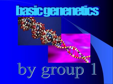 DNA STANDS FOR DEOXYRIBONUCLEIC ACID. THIS IS JUST A CHEMICAL WHICH IS PART OF THE HUMAN BODY. OFF THIS STRAND OF DNA, YOU WILL SEE A BASE. THIS IS WHERE.