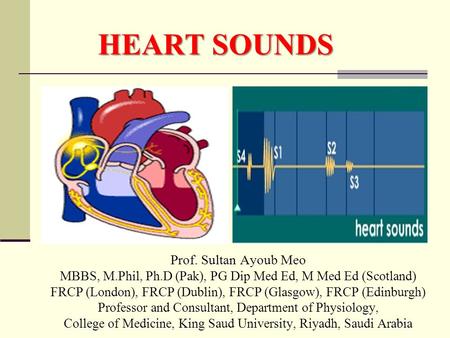 Prof. Sultan Ayoub Meo MBBS, M.Phil, Ph.D (Pak), PG Dip Med Ed, M Med Ed (Scotland) FRCP (London), FRCP (Dublin), FRCP (Glasgow), FRCP (Edinburgh) Professor.