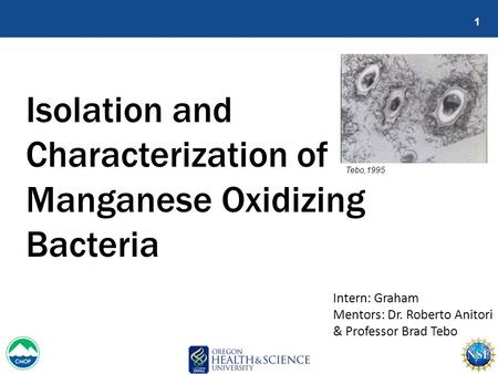 Isolation and Characterization of Manganese Oxidizing Bacteria