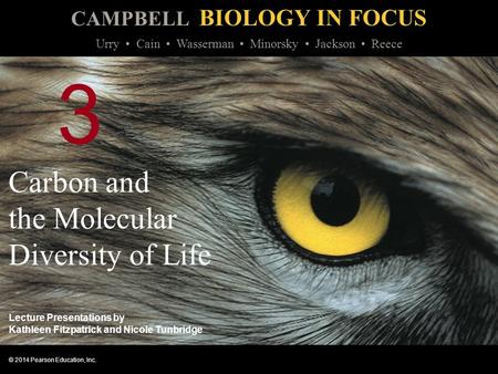 Carbon and the Molecular Diversity of Life