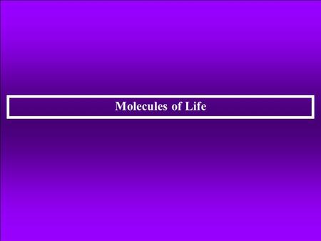 Molecules of Life.