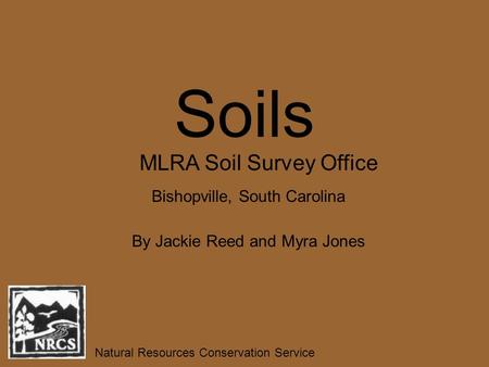 Soils By Jackie Reed and Myra Jones Natural Resources Conservation Service MLRA Soil Survey Office Bishopville, South Carolina.