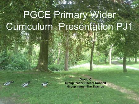 PGCE Primary Wider Curriculum Presentation PJ1 Group C Group leader Rachel Connell Group name: The Thamps.