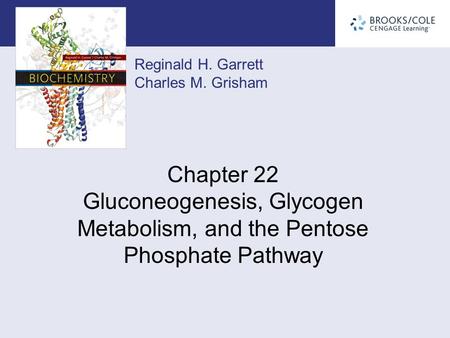 Outline What is gluconeogenesis, and how does it operate ?