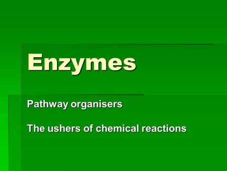 Pathway organisers The ushers of chemical reactions