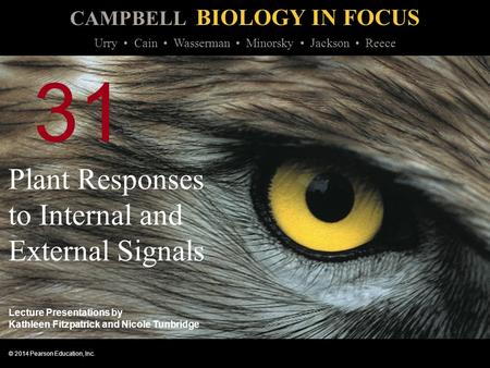 Plant Responses to Internal and External Signals