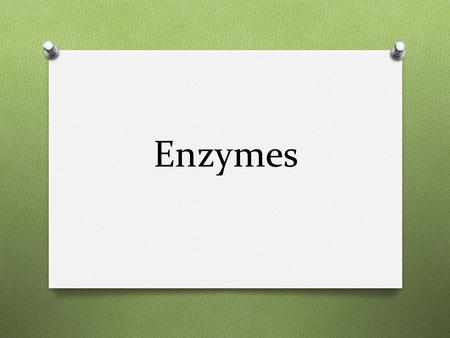 Enzymes. O Protein O Only act on certain substances called substrates.