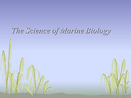 The Science of Marine Biology. Latitude/longitude system Developed by Greeks Latitude = east-west Longitude = north-south In degrees 1 degree=60 minutes.