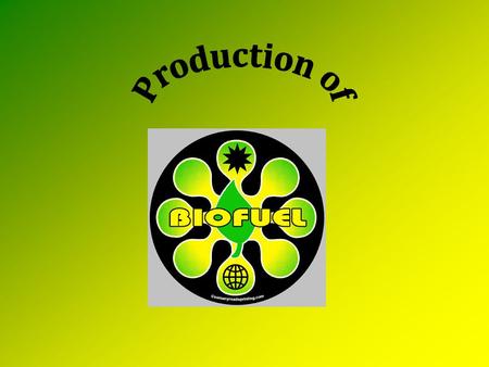 How can plant biomass become fuel? Ethanol Biodiesel Burgeoning (expanding) Technologies – DMF – Butanol – Fischer Tropsch.