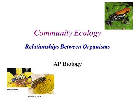 Community Ecology Relationships Between Organisms AP Biology.