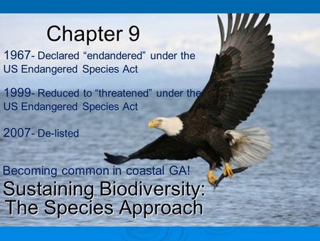 Sustaining Biodiversity: The Species Approach