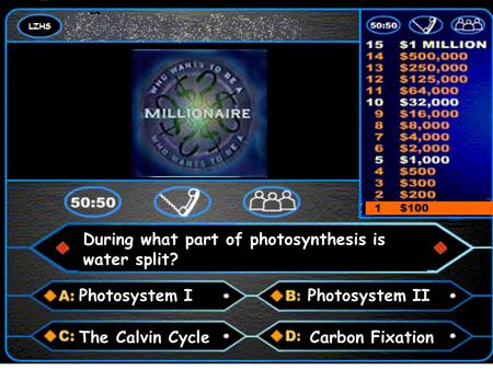 LZHS A number and a colon Answer 1 $100 During what part of photosynthesis is water split? Photosystem IPhotosystem II Carbon FixationThe Calvin Cycle.