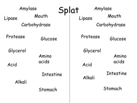 Splat Lipase Protease Carbohydrase Amylase Glucose Glycerol Amino acids Acid Alkali Lipase Protease Carbohydrase Amylase Glucose Glycerol Amino acids Acid.