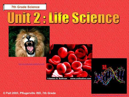 © Fall 2005, Pflugerville ISD, 7th Grade 7th Grade Science