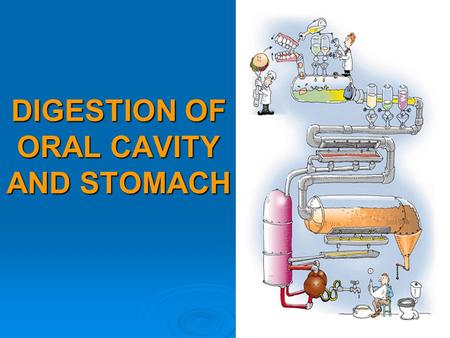 DIGESTION OF ORAL CAVITY AND STOMACH