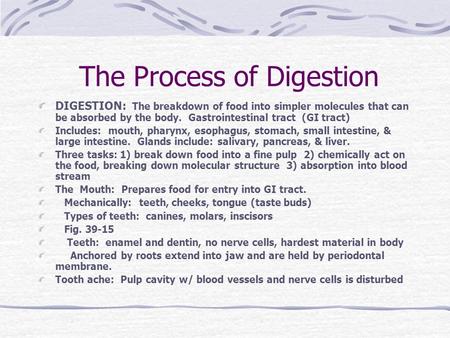 The Process of Digestion DIGESTION: The breakdown of food into simpler molecules that can be absorbed by the body. Gastrointestinal tract (GI tract) Includes: