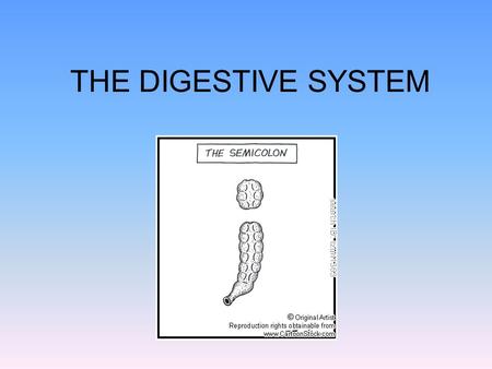 THE DIGESTIVE SYSTEM. as heterotrophs we need to take in our food from the outside once inside the cell, the nutrients are used as scaffolding for synthesis.