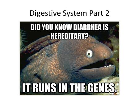 Digestive System Part 2. Two Types of Digestion Digestion is the process of breaking down nutrients so they can be absorbed – Undigested nutrients cannot.