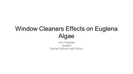 Window Cleaners Effects on Euglena Algae John Wearden Grade 9 Central Catholic High School.