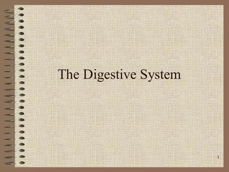 The Digestive System.