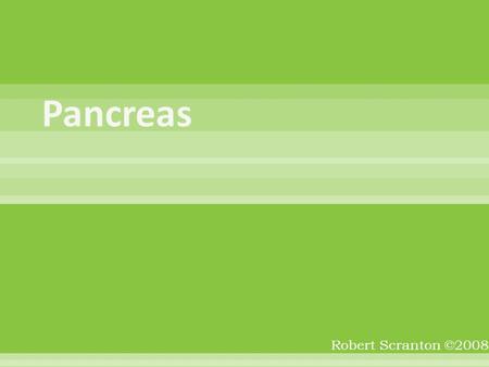 Robert Scranton ©2008.  Develops from _______ & ________ buds of the duodenum  The portion becomes the _____________ and a portion of the ______. 