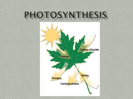  Process by which plants capture energy and make complex molecules (carbohydrates) in a series of linked chemical reactions.  Energy is required for.