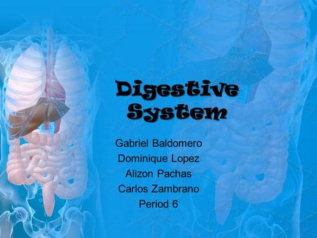 Digestive System Gabriel Baldomero Dominique Lopez Alizon Pachas Carlos Zambrano Period 6.